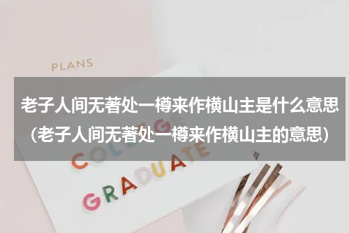 老子人间无著处一樽来作横山主是什么意思（老子人间无著处一樽来作横山主的意思）