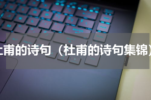 杜甫的诗句（杜甫的诗句集锦）