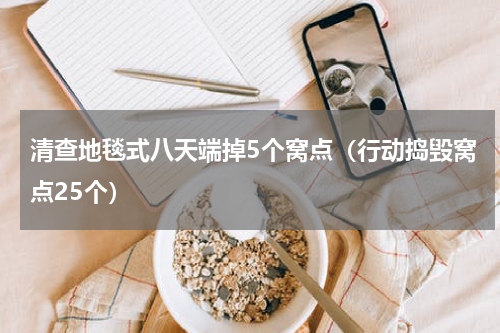 清查地毯式八天端掉5个窝点（行动捣毁窝点25个）