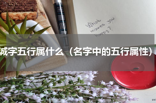 诚字五行属什么（名字中的五行属性）