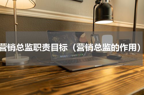 营销总监职责目标（营销总监的作用）