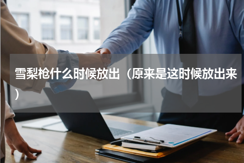 雪梨枪什么时候放出（原来是这时候放出来）