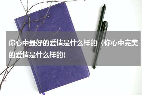 你心中最好的爱情是什么样的（你心中完美的爱情是什么样的）