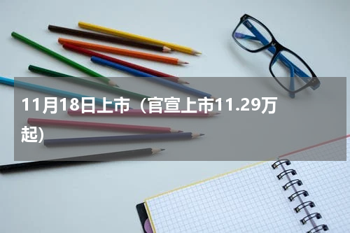 11月18日上市（官宣上市11.29万起）