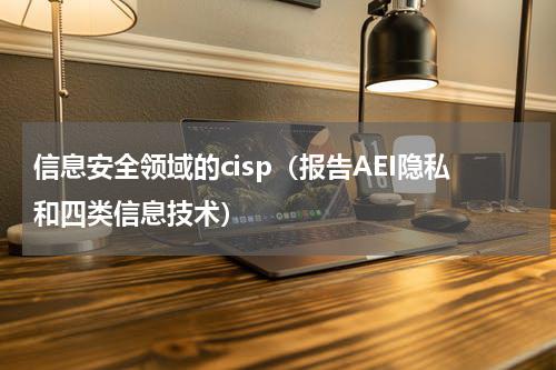 信息安全领域的cisp（报告AEI隐私和四类信息技术）