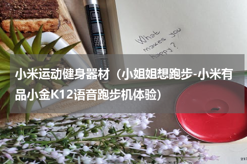小米运动健身器材（小姐姐想跑步-小米有品小金K12语音跑步机体验）