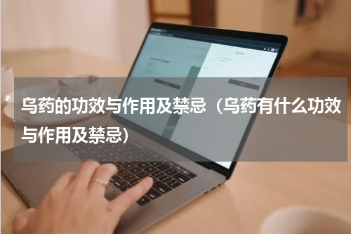 乌药的功效与作用及禁忌（乌药有什么功效与作用及禁忌）