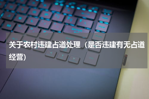 关于农村违建占道处理（是否违建有无占道经营）