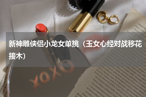 新神雕侠侣小龙女单挑（玉女心经对战移花接木）