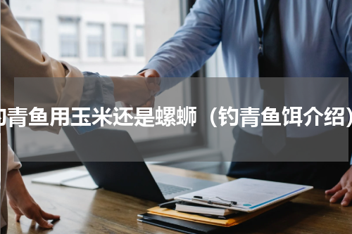 钓青鱼用玉米还是螺蛳（钓青鱼饵介绍）