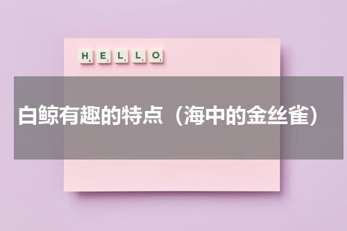 白鲸有趣的特点（海中的金丝雀）