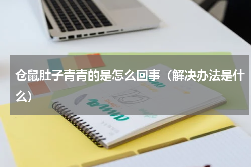 仓鼠肚子青青的是怎么回事（解决办法是什么）