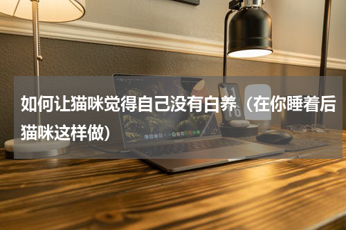 如何让猫咪觉得自己没有白养（在你睡着后猫咪这样做）