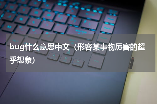 bug什么意思中文（形容某事物厉害的超乎想象）