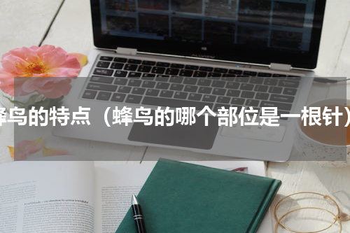 蜂鸟的特点（蜂鸟的哪个部位是一根针）
