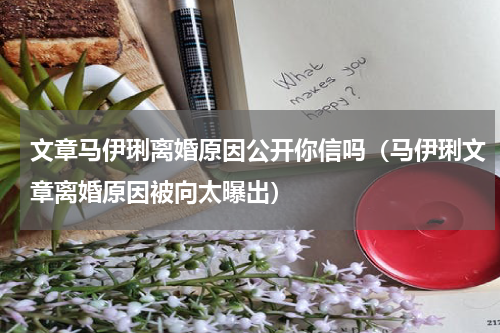 文章马伊琍离婚原因公开你信吗（马伊琍文章离婚原因被向太曝出）