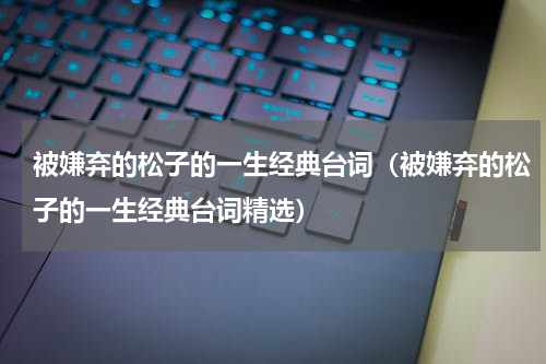 被嫌弃的松子的一生经典台词（被嫌弃的松子的一生经典台词精选）