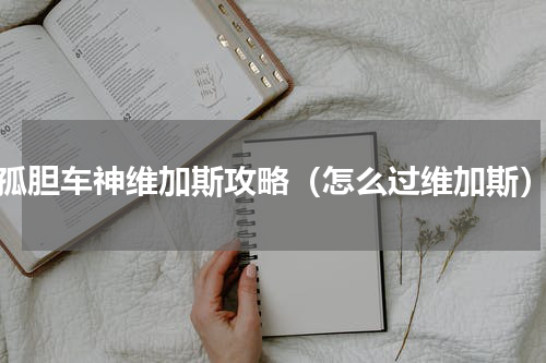 孤胆车神维加斯攻略（怎么过维加斯）