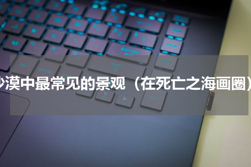 沙漠中最常见的景观（在死亡之海画圈）