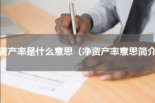 净资产率是什么意思（净资产率意思简介）