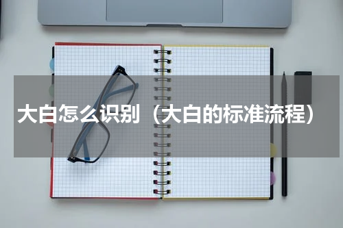 大白怎么识别（大白的标准流程）