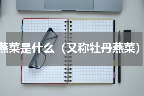 燕菜是什么（又称牡丹燕菜）