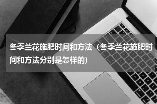冬季兰花施肥时间和方法（冬季兰花施肥时间和方法分别是怎样的）