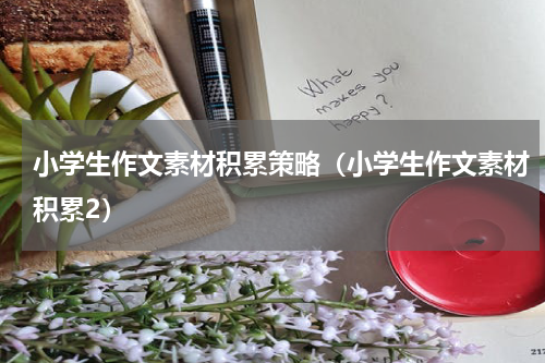 小学生作文素材积累策略（小学生作文素材积累2）