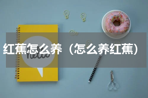 红蕉怎么养（怎么养红蕉）