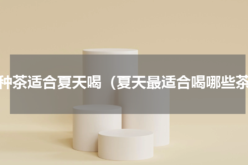 哪种茶适合夏天喝（夏天最适合喝哪些茶）