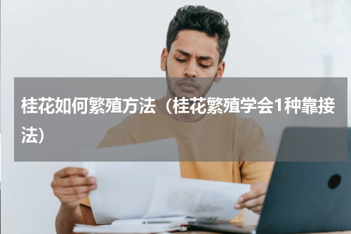 桂花如何繁殖方法（桂花繁殖学会1种靠接法）