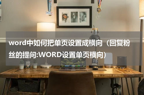 word中如何把单页设置成横向（回复粉丝的提问:WORD设置单页横向）