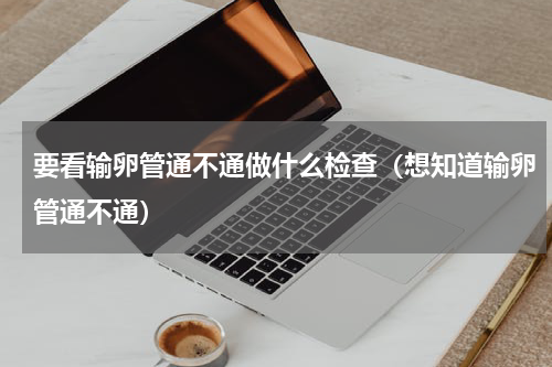 要看输卵管通不通做什么检查（想知道输卵管通不通）