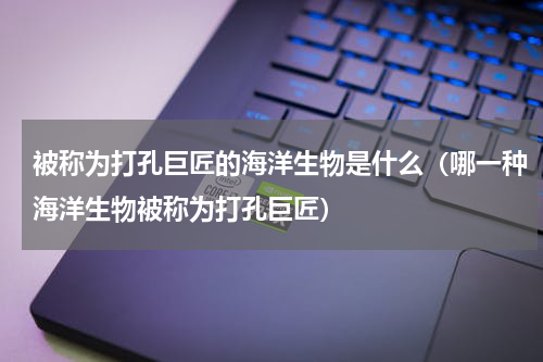 被称为打孔巨匠的海洋生物是什么（哪一种海洋生物被称为打孔巨匠）