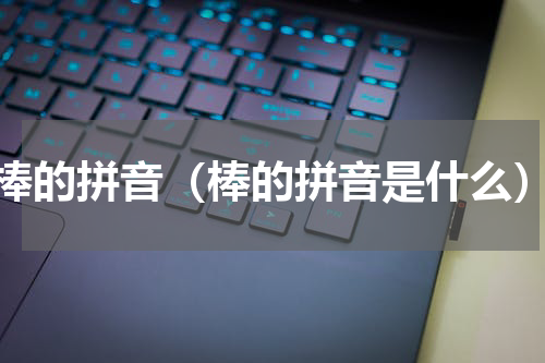 棒的拼音（棒的拼音是什么）