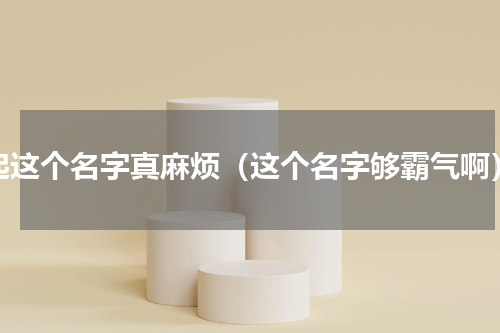 起这个名字真麻烦（这个名字够霸气啊）