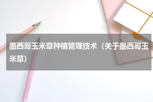 墨西哥玉米草种植管理技术（关于墨西哥玉米草）