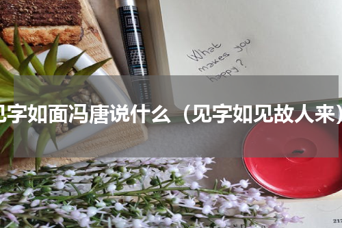 见字如面冯唐说什么（见字如见故人来）