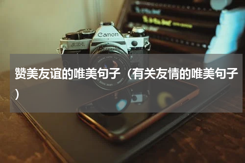 赞美友谊的唯美句子（有关友情的唯美句子）