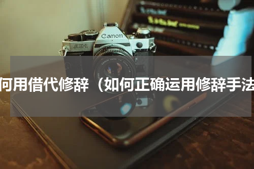 如何用借代修辞（如何正确运用修辞手法）