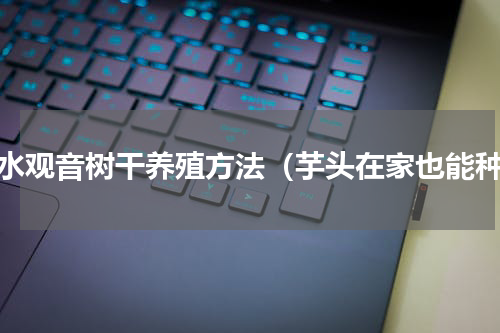 滴水观音树干养殖方法（芋头在家也能种）