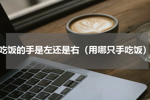 吃饭的手是左还是右（用哪只手吃饭）