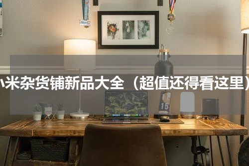 小米杂货铺新品大全（超值还得看这里）