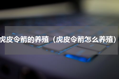 虎皮令箭的养殖（虎皮令箭怎么养殖）