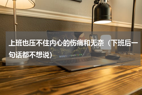 上班也压不住内心的伤痛和无奈（下班后一句话都不想说）