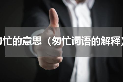 匆忙的意思（匆忙词语的解释）