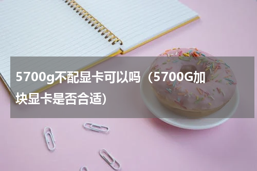 5700g不配显卡可以吗（5700G加块显卡是否合适）