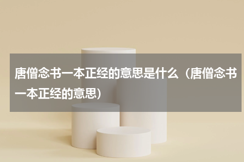 唐僧念书一本正经的意思是什么（唐僧念书一本正经的意思）