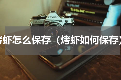 烤虾怎么保存（烤虾如何保存）