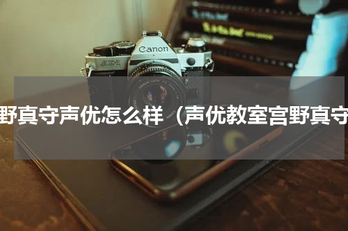 宫野真守声优怎么样（声优教室宫野真守）